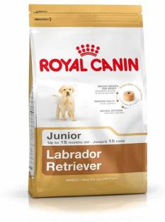 Royal Canin Labrador Retriever Puppy 3 kg Dry Young Dog Food 4.51,508 Ratings & 133 Reviews For Dog Flavor: NA Food Type: Dry Suitable For: Young Shelf Life: 18 Months ₹2,367 ₹2,630 10% off Free delivery Buy 2 items, save extra 2%