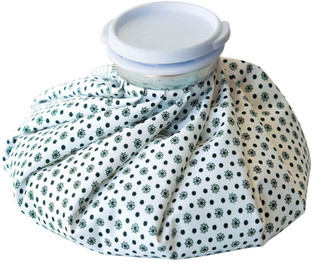 ice aid ice bag