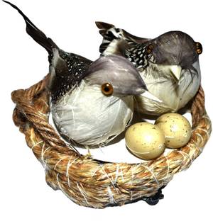 Paxidaya Wooden Bird House Nest Box Bird Cag Decorative