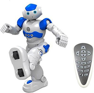robot cady wile