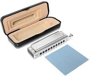 Generic Pyle Professional Stainless Steel Metal 10 Hole Chromatic.