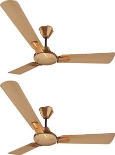 Candes Gold Mist 1200 Mm High Speed 3 Blade Ceiling Fan Reviews