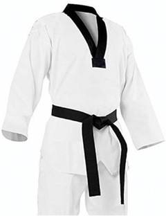 hanah karate dress price