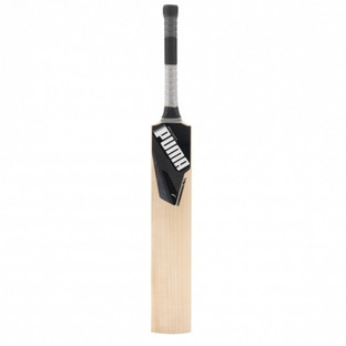 puma evopower 2 cricket bat