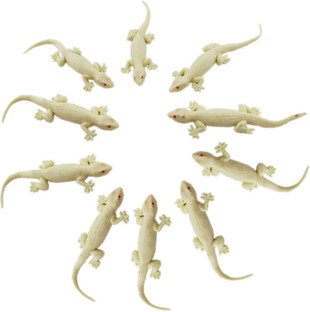 rubber lizard