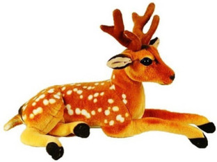 teddy deer