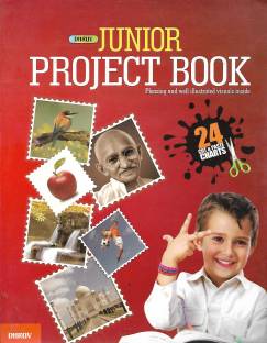 The boy project book