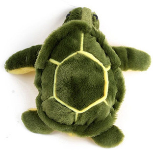 teddy the turtle