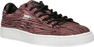 puma basket tiger