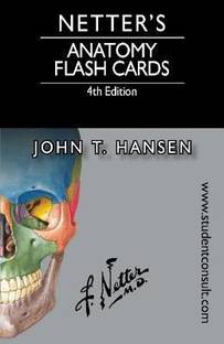 Download Netter S Anatomy Flash Cards Buy Netter S Anatomy Flash Cards By Hansen John T At Low Price In India Flipkart Com