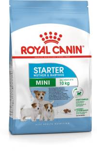 Royal Canin Mini Starter 3 kg Dry New Born Dog Food 4.51,312 Ratings & 109 Reviews For Dog Flavor: NA Food Type: Dry Suitable For: New Born Shelf Life: 18 Months ₹2,412 ₹2,680 10% off Free delivery Buy 2 items, save extra 2%