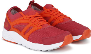 lotto volleyball shoes
