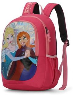 skybags pithu bag