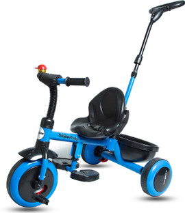 tricycle with push handle and seat belt