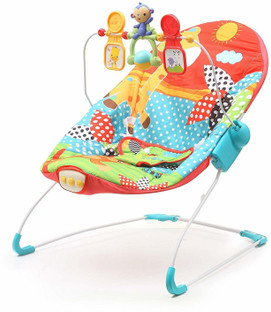 fiddle diddle baby bouncer