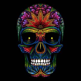 skull with design in |Wall Poster Sticker|Motivational Poster|Funky  Poster|Posters for Life|Inspirational Posters|All time poster|posters for  life|Home Décor Posters|HD Print Paper Print - Decorative posters in India  - Buy art, film, design, movie,