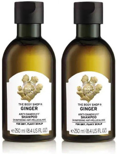 shampoo ginger body shop