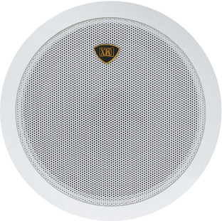 sony ceiling speakers india