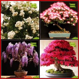 Téléchargement gratuit Images Ruzcyvrjrvf8gm le plus cool par