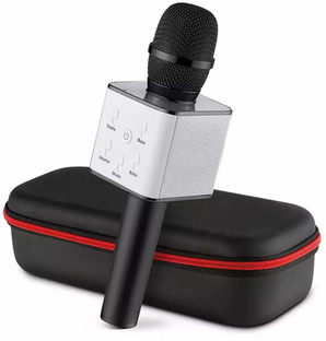 microphone and speaker for singing