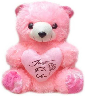 cute soft teddy bear