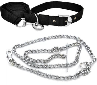 silver dog chain