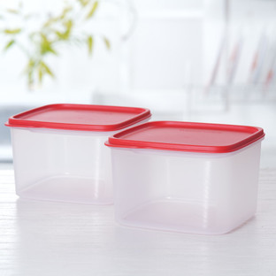 KEEP TAB Tupperware Multi-utility LARGE 2 cols 2500ml square containers