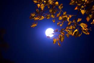 Beautiful Moon Moon Quotes Wall Posterr Paper Poster Paper Print Nature Posters In India Buy Art Film Design Movie Music Nature And Educational Paintings Wallpapers At Flipkart Com Sky gazers were treated to a rare lunar eclipse known as a super blood wolf moon on sunday night, in which sunlight passing through earth's atmosphere lit the celestial body in a dramatic fashion and turned it red. beautiful moon moon quotes wall