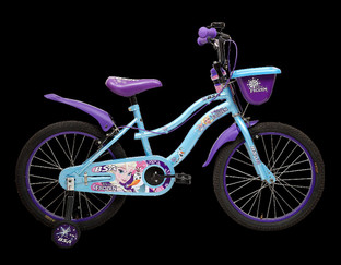bsa disney princess cycle