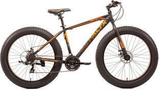 raleigh cycles flipkart