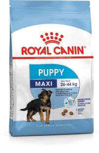 Royal Canin Maxi Puppy 4 kg Dry Young Dog Food 4.53,844 Ratings & 299 Reviews For Dog Flavor: NA Food Type: Dry Suitable For: Young Shelf Life: 18 Months ₹2,966 ₹3,390 12% off Free delivery
