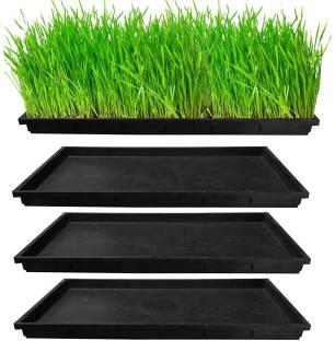 TrustBasket Wheat Grass Trays - Set of 4 Plant Container Set
