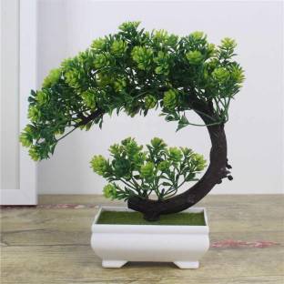 TIED RIBBONS Decorative Showpiece for Home Bedroom Office Bonsai Artificial Plant  with Pot