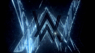 alan walker jacket flipkart