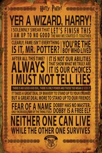 Official Harry Potter Black Wall Decor Home Office Poster