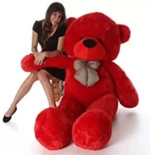 teddy bear in red colour