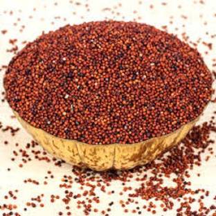 Naturewell Ragi Raagi Mandwa Madua Finger Millet Eleusine Coracana 100 Gram Per Pack Seed Price In India Buy Naturewell Ragi Raagi Mandwa Madua