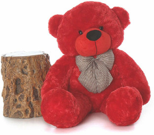 most beautiful teddy