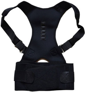 belt for backbone support