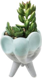 Chumbak Cuddle Buds Artificial Plant With Pot Price In India Buy Chumbak Cuddle Buds Artificial Plant With Pot Online At Flipkart Com Get contact details & address of companies manufacturing and supplying artificial plants, decorative artificial plant, fake plant across india. flipkart