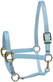 REALM Horse Harness & Leash