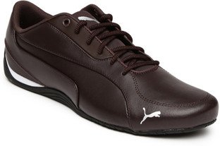 puma brown drift cat