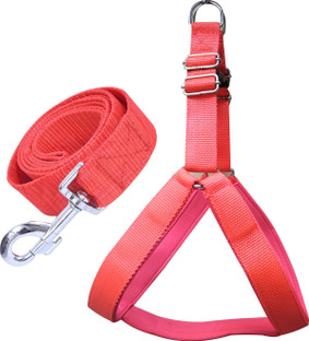 red dog harness