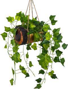 Flipkart Perfect Homes Artificial Falling Leaves Hanging in Wood Buckle Pot Wild Artificial Plant  with Pot