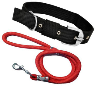 dog belt online flipkart