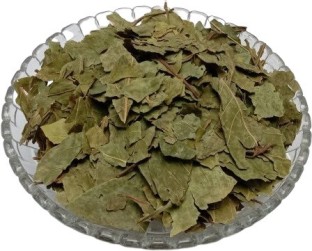 bael leaf
