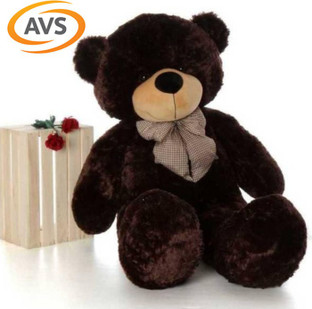 cute teddy bear with chocolate