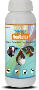 vitamin b complex syrup for dogs