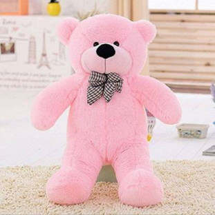 teddy bear 5 fit