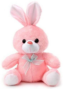 pink rabbit teddy